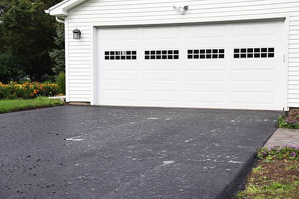 Best Yard Waste Removal  in Randolph, WI